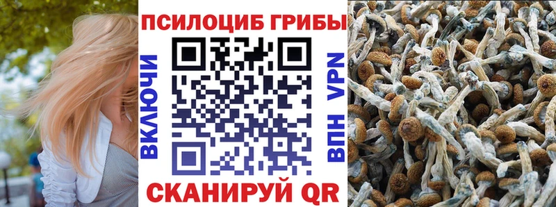 Галлюциногенные грибы ЛСД  Череповец 